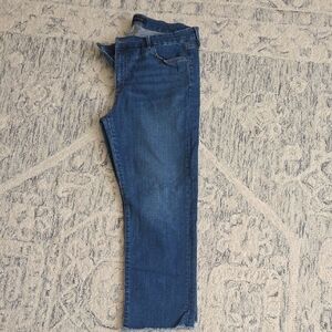 Ann Taylor Blue Denim Jeans